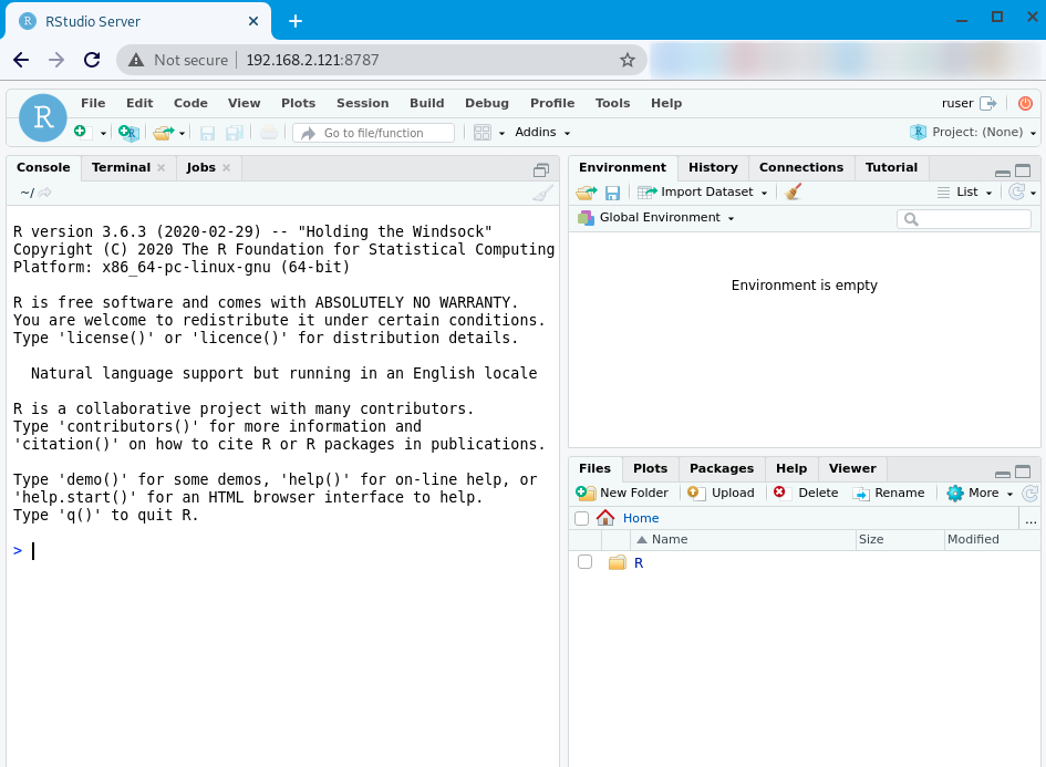 Image 2: RStudio web frontend - Up & running!